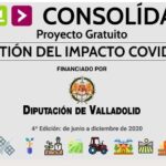 consolidate portada web