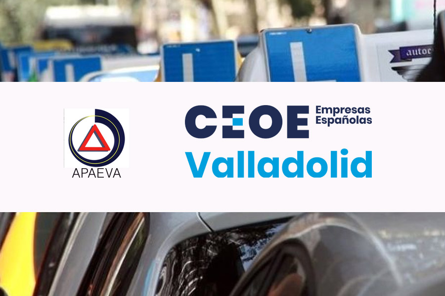APAEVA CEOE Valladolid