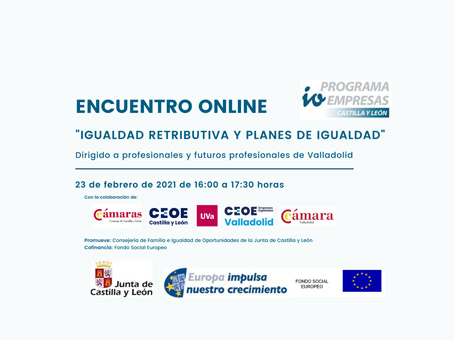 Encuentro online igualdad